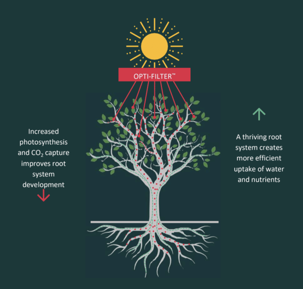 Opti-Harvest | Agricultural Innovation